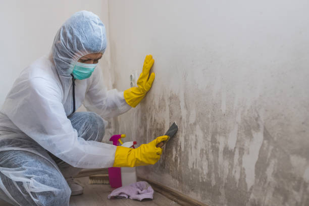  Rutgers University Busch Campus, NJ Mold Removal Pros
