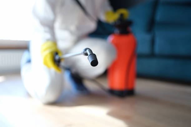 Best Mold Removal for HVAC Installations  in Rutgers University Busch Campus, NJ